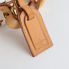 Louis Vuitton Petit Noe Multicolor Bucket Bag