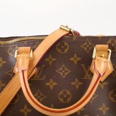 Louis Vuitton Speedy 30 Monogram