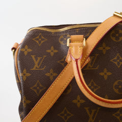 Louis Vuitton Speedy 30 Monogram