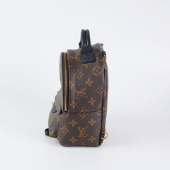 Louis Vuitton Palm Spring Mini Monogram (New Zipper Style)