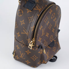 Louis Vuitton Palm Spring Mini Monogram (New Zipper Style)