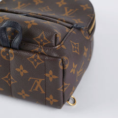 Louis Vuitton Palm Spring Mini Monogram (New Zipper Style)