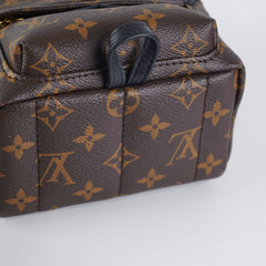 Louis Vuitton Palm Spring Mini Monogram (New Zipper Style)