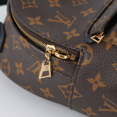 Louis Vuitton Palm Spring Mini Monogram (New Zipper Style)