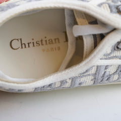 Dior Walk'n'Dior Sneakers Oblique Canvas Grey
