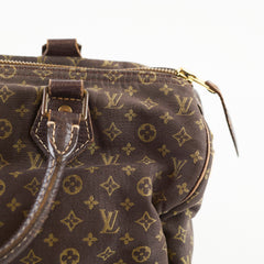 Louis Vuitton Louis Vuitton Speedy 30 Mini Lin