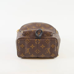 Louis Vuitton Mini Palm Spring Monogram