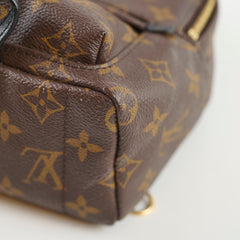 Louis Vuitton Mini Palm Spring Monogram