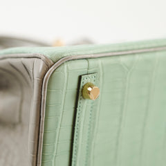Hermes Birkin 25 Alligator Mississippiensis Verte D'eau/Gris Perle - U Stamp