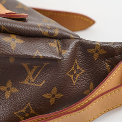 Louis Vuitton Bumbag Monogram Canvas