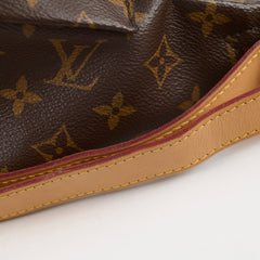 Louis Vuitton Bumbag Monogram Canvas