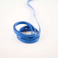 Goyard Saigon Mini Top Handle Bag Sky Blue