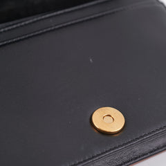 Dior Diorama Wallet on Chain WOC Bag Multicolour