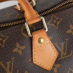 Louis Vuitton Speedy 25 Monogram