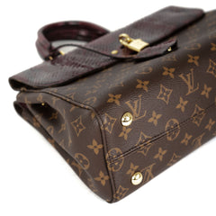 Louis Vuitton Python Top Handle