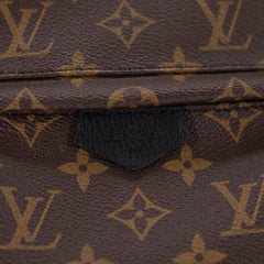 Louis Vuitton Palm Spring PM