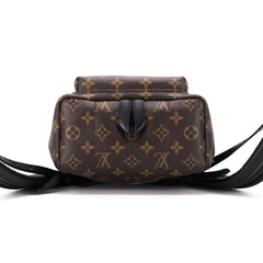 Louis Vuitton Palm Spring PM
