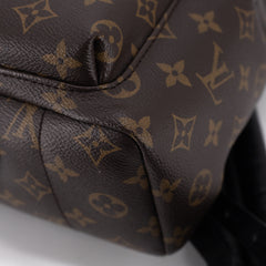 Louis Vuitton Palm Spring PM