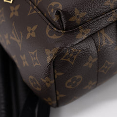 Louis Vuitton Palm Spring PM