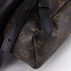 Louis Vuitton Palm Spring PM