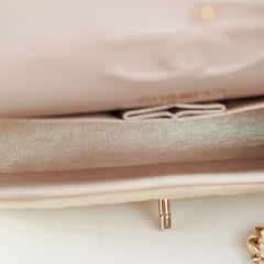Chanel Double Flap Medium/Large Pearlescent