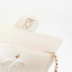 Chanel Double Flap Medium/Large Pearlescent