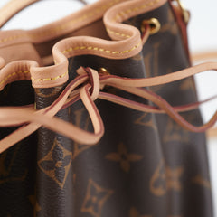 Louis Vuitton Nano Noe Monogram