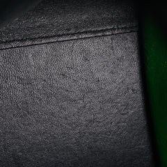 Celine Trapeze Green and Black