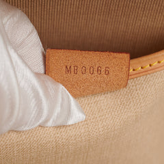 Louis Vuitton Monogram Excursion Shoe Bag