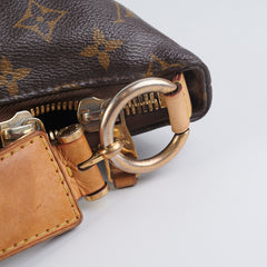Louis Vuitton Hobo Monogram Bag