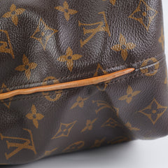 Louis Vuitton Hobo Monogram Bag