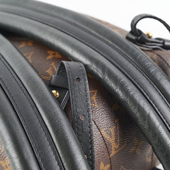 Louis Vuitton Monogram Palm Springs PM BackPack