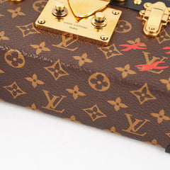 Louis Vuitton Petite Malle Monogram