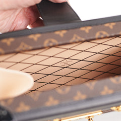 Louis Vuitton Petite Malle Monogram