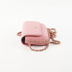 Chanel Seasonal Flap Pink Microchip