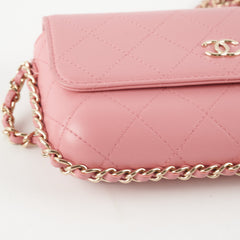 Chanel Seasonal Flap Pink Microchip