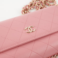 Chanel Seasonal Flap Pink Microchip