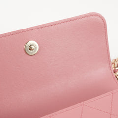 Chanel Seasonal Flap Pink Microchip