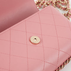 Chanel Seasonal Flap Pink Microchip
