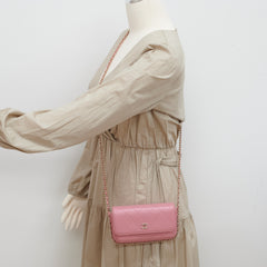 Chanel Seasonal Flap Pink Microchip