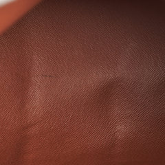 Louis Vuitton Papillon Watercolour Monogram Brown