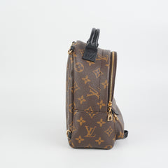 ITEM 8 - Louis Vuitton Palm Spring Mini Monogram (New Zip Style)