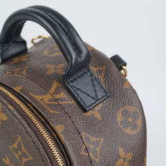 ITEM 8 - Louis Vuitton Palm Spring Mini Monogram (New Zip Style)