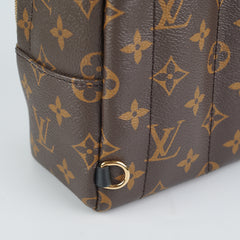 ITEM 8 - Louis Vuitton Palm Spring Mini Monogram (New Zip Style)
