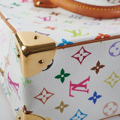 Louis Vuitton Multicolor Trouville